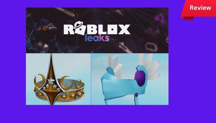 Rbxleaks com