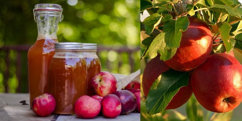 There are many Apple cider vinegar health benefits