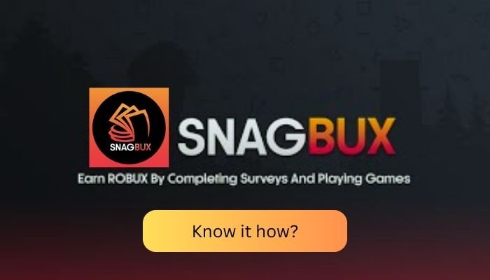 Snagbux com